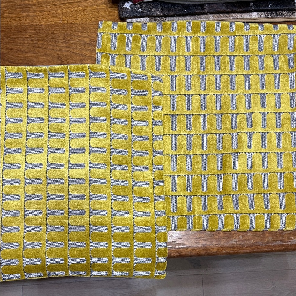 West Elm Velvet Archways Pillow Covers (2)